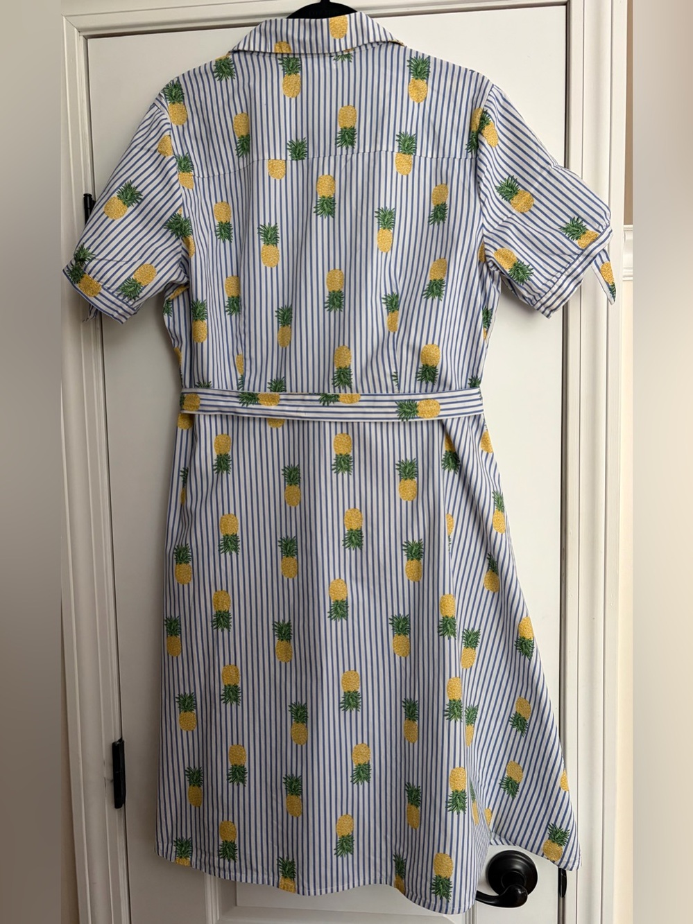 Striped Cotton Pineapple Button Up Shirt Dress Retro Summer Preppy Kitchy Sz L - Picture 2 of 6